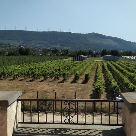 Agriturismo Il Casale Del Cavaliere SantʼAgata deʼ Goti エクステリア 写真