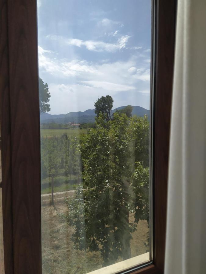 Agriturismo Il Casale Del Cavaliere SantʼAgata deʼ Goti エクステリア 写真